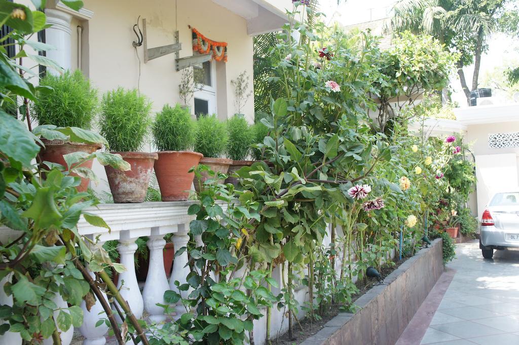 Sirohi House New Delhi Eksteriør bilde