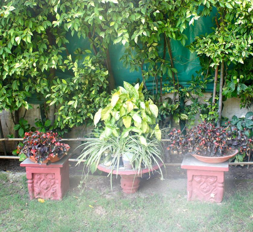 Sirohi House New Delhi Eksteriør bilde