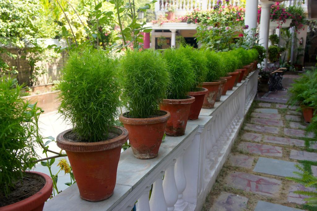 Sirohi House New Delhi Eksteriør bilde