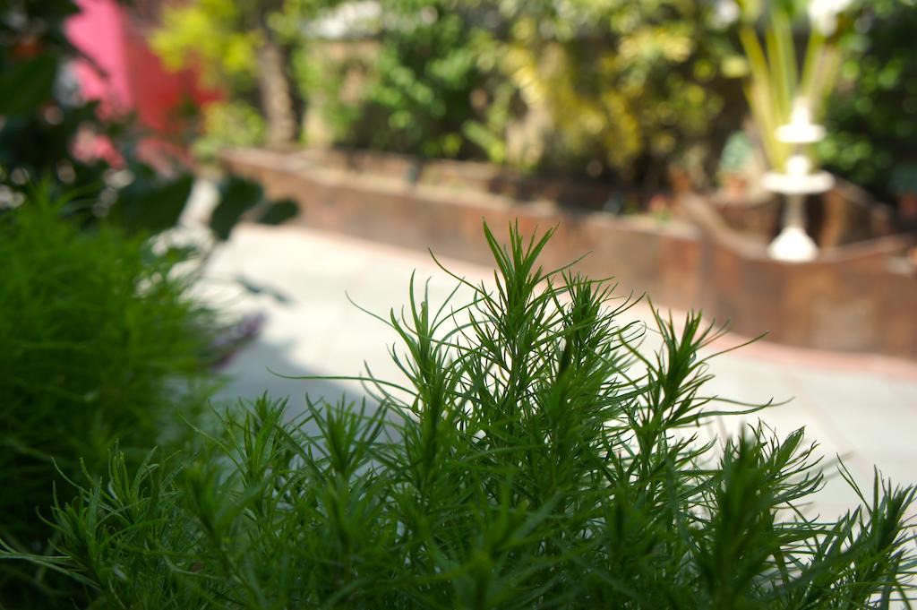Sirohi House New Delhi Eksteriør bilde